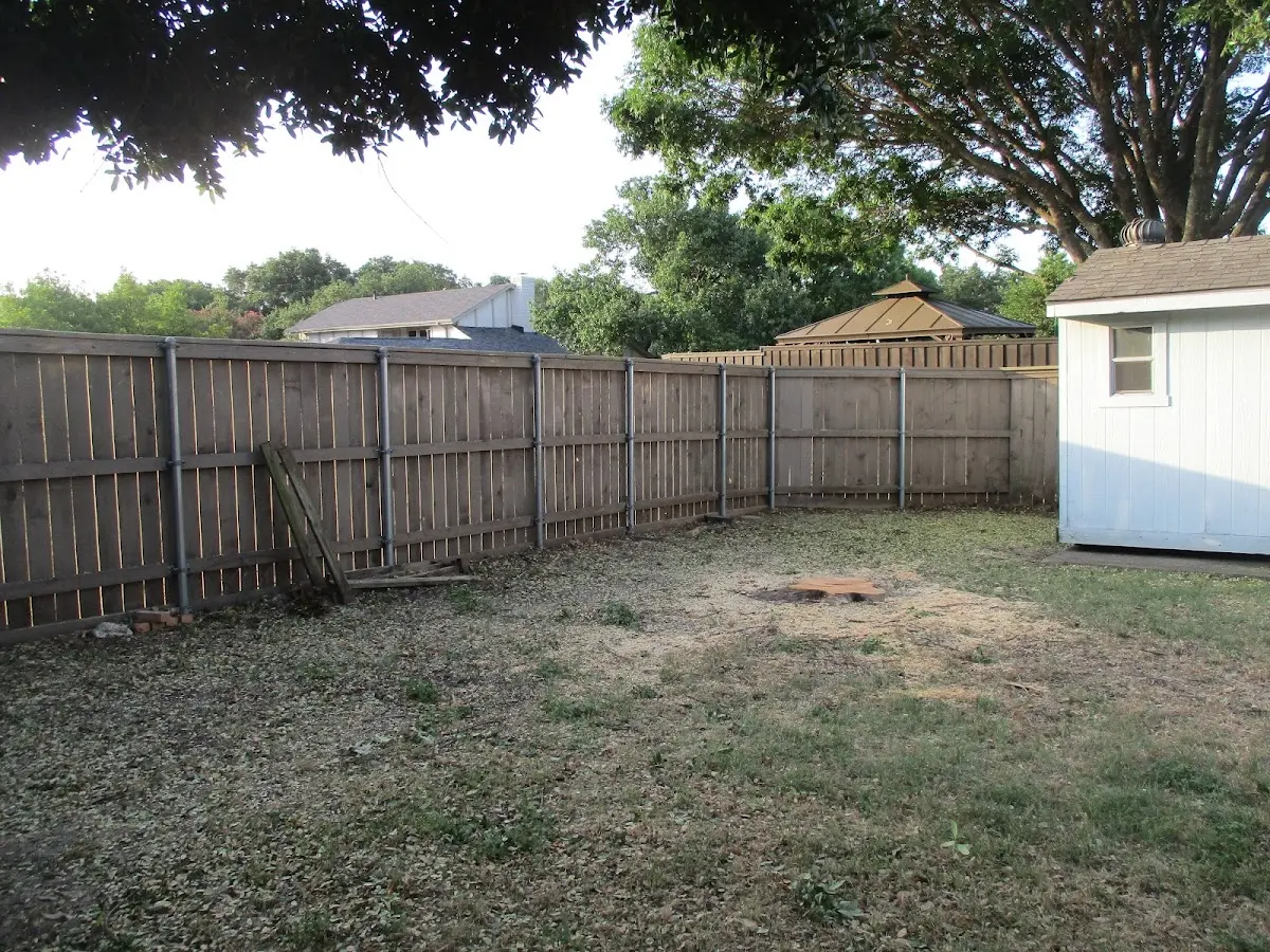Cleared yard after professional tree removal in Roselawn